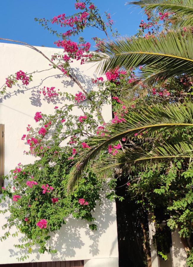 Beach And Tennis Sant Josep de sa Talaia Exterior foto